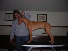 Gala at 20 weeks