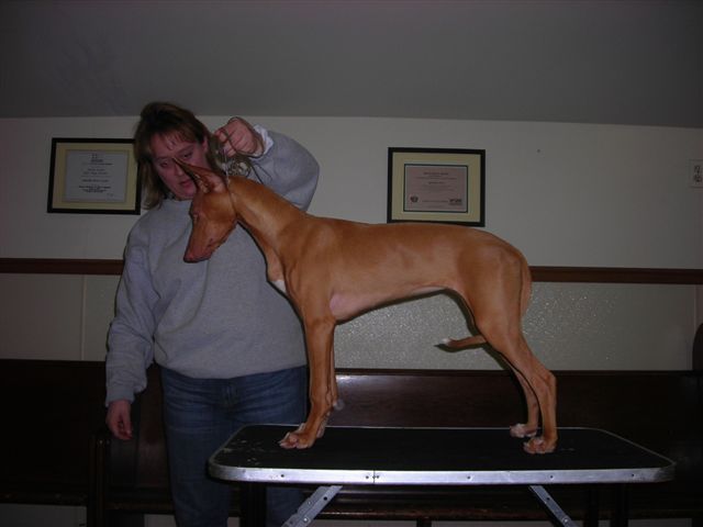 Gala at 20 weeks