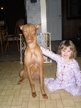 Goldie & Lucie