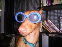 Goldie The Diva
