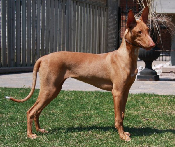 Hari at 6 Months