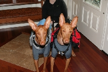 Hiking Boys2