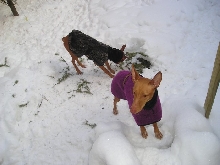 Let me it's too cold!