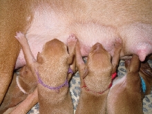 Mine, All Mine!