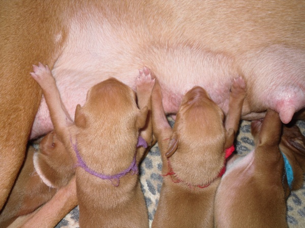 Mine, All Mine!