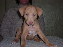 Orange Boy Sitting