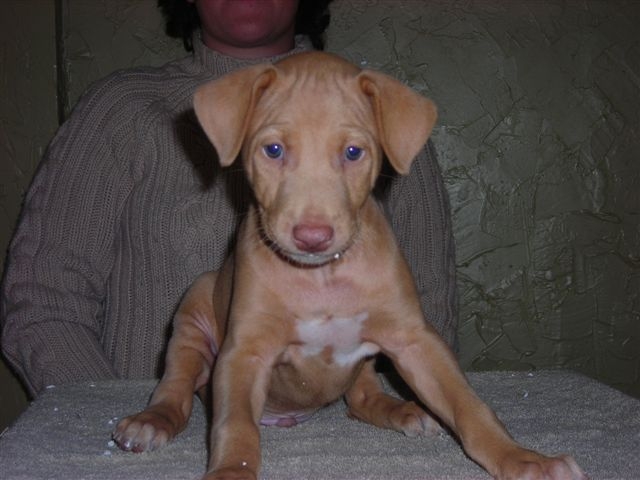 Orange Boy Sitting