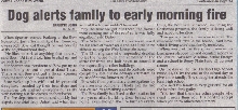 News Article - Spartan