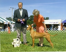 Goldie Canadian CH