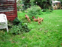 Playtime