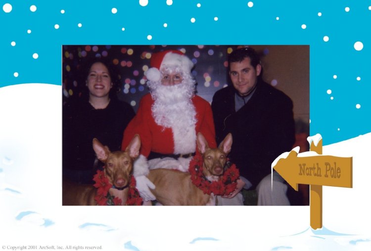Christmas with Santa
