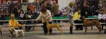Spartan at 6 Months