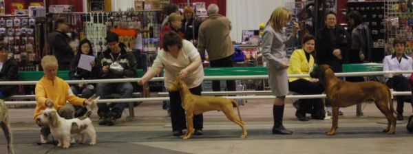 Spartan at 6 Months