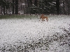 Stand Off