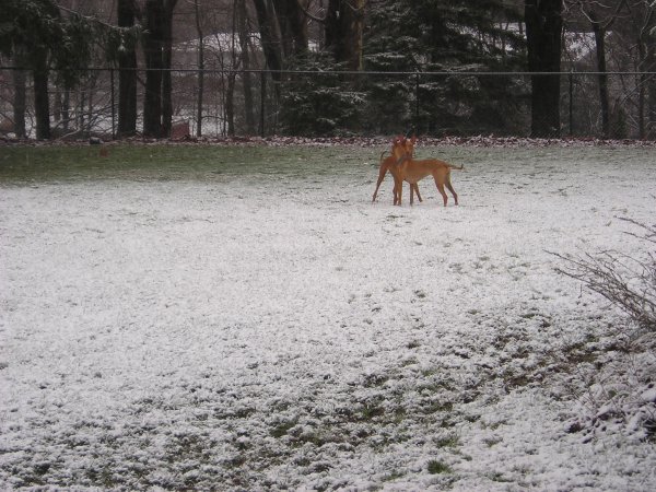 Stand Off