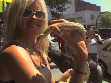 Pic of a hypo bull at a demo