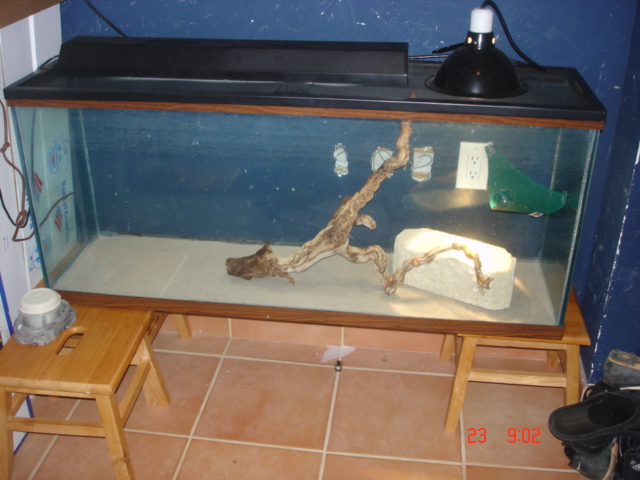 beardie cage 1