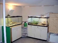 2 tanks