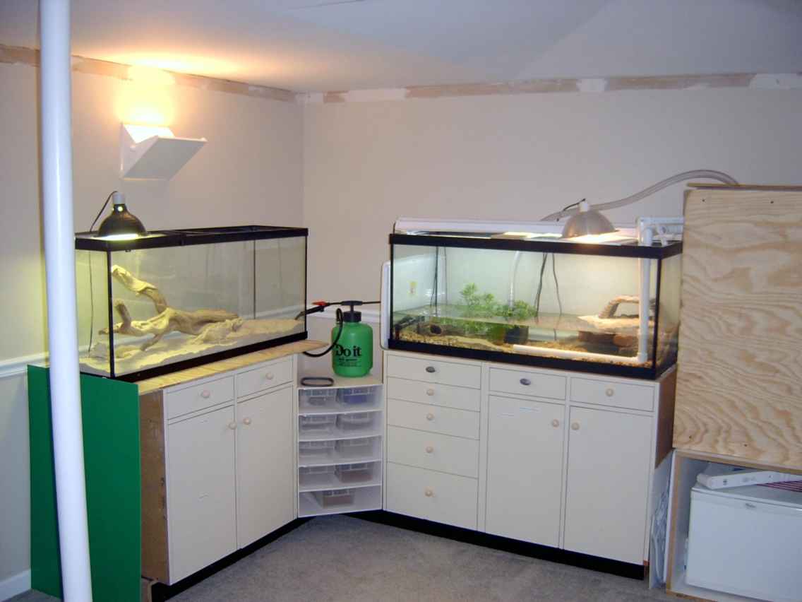 2 tanks