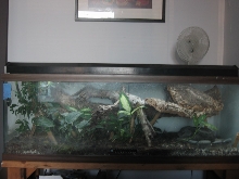 sikorae enclosure