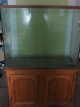 New tank 2