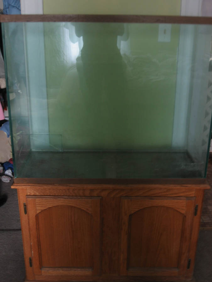New tank 2