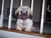 Cooper behind bars