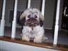 Cooper behind bars