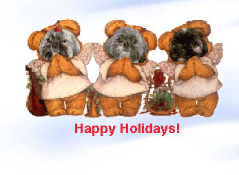 Fur Angels-Crissy,Cody & Cooper