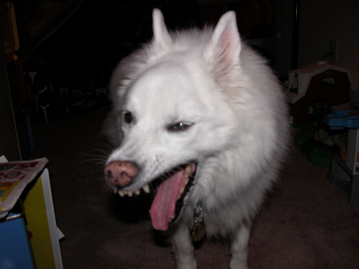 big yawn