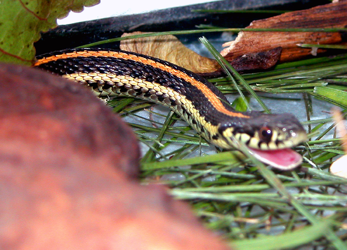 Smile for the camera