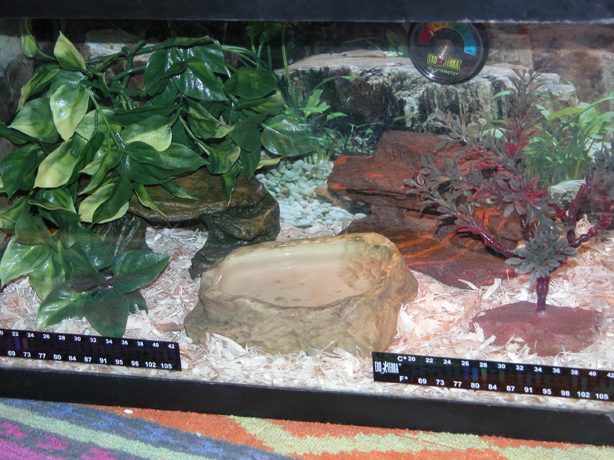 Apricot pueblan 5gal tank