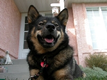 Smile for the Camera