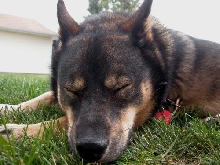 Nap Time