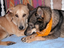 Cuddle Time