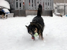 Play Time