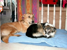Grace & Atticus