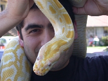 Dante & Me