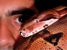 Eye to Eye