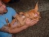 Baby Poe with his daddy