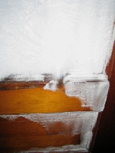 Window over doggy door