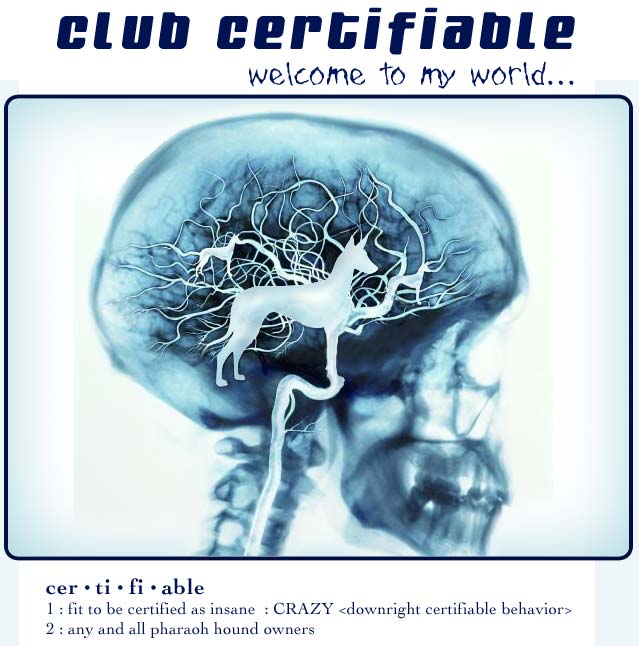 Club Certifiable