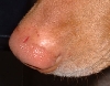 Digging cuts