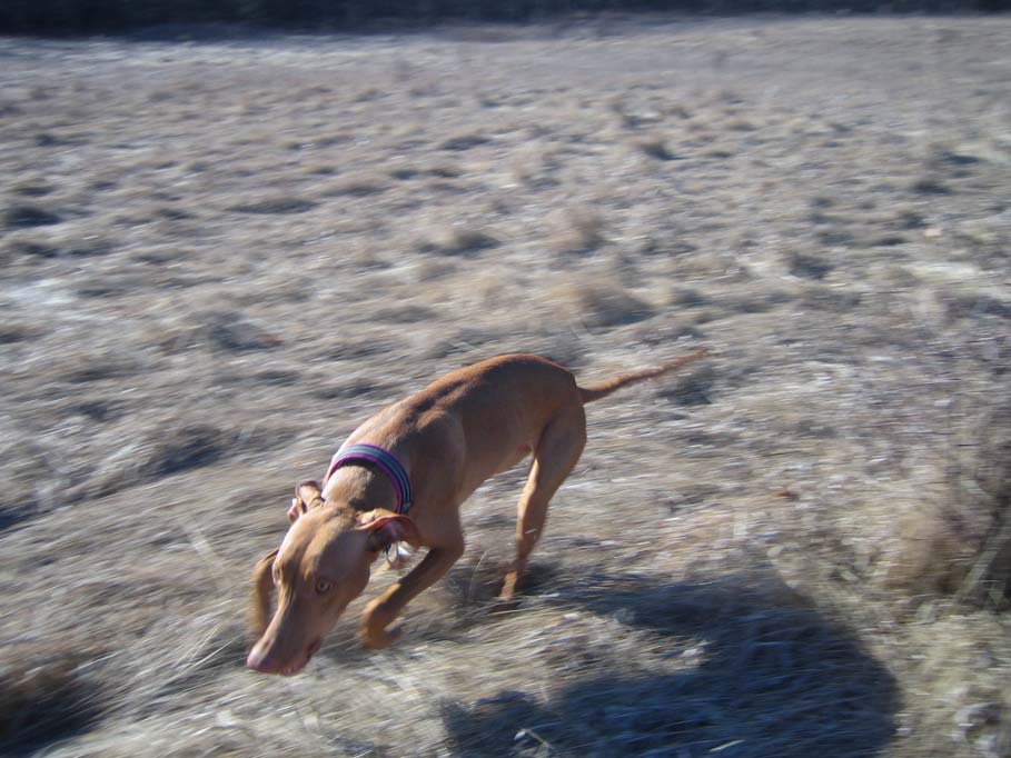 Lill doing a drive-by