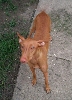 My darling Lill