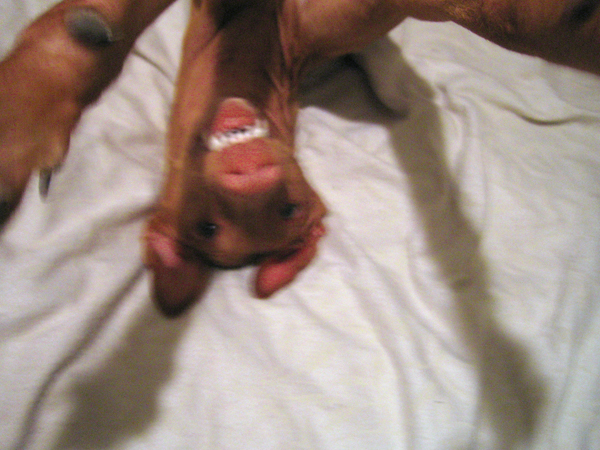 Lilly Smiles