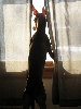 Lill is watching