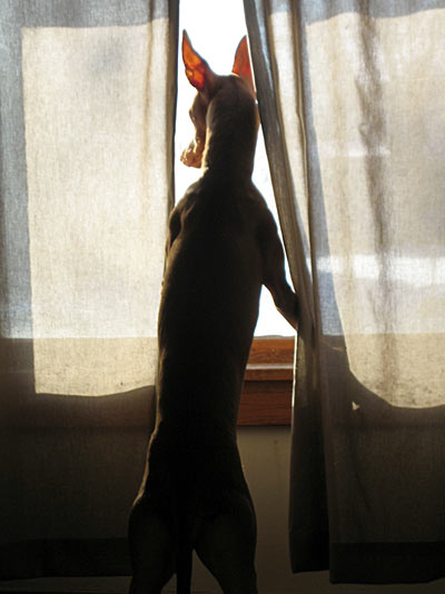 Lill is watching