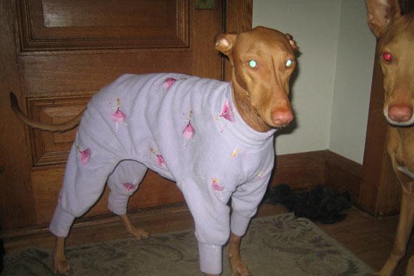 Lill's PJs