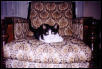 Here, the Queen in her Throne